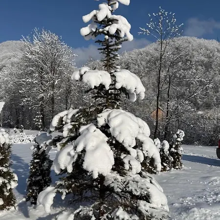 трембіта Sesori