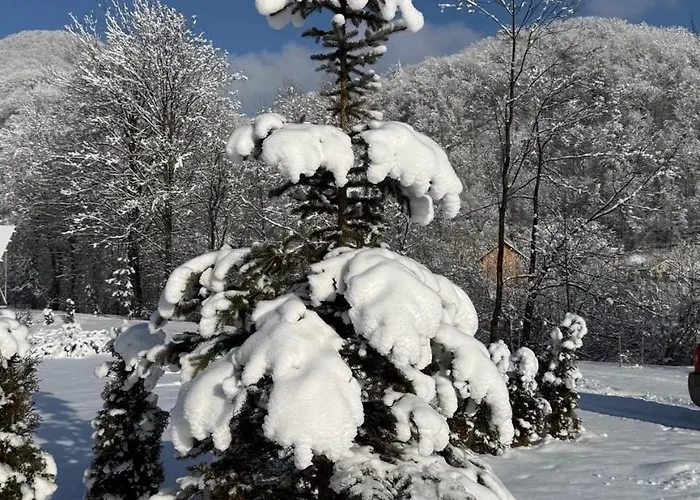 трембіта Sesori